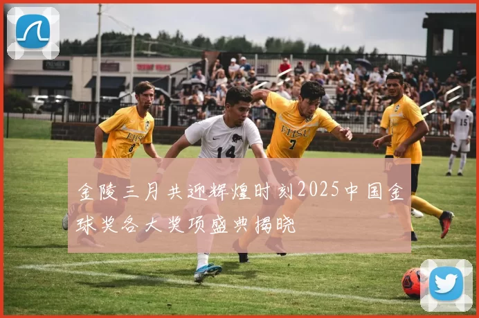 金陵三月共迎辉煌时刻2025中国金球奖各大奖项盛典揭晓