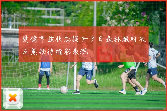 爱德华兹状态提升今日森林狼对决灰熊期待精彩表现