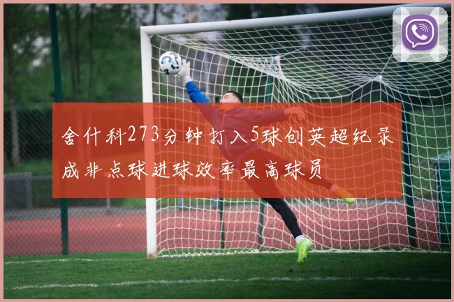舍什科273分钟打入5球创英超纪录成非点球进球效率最高球员