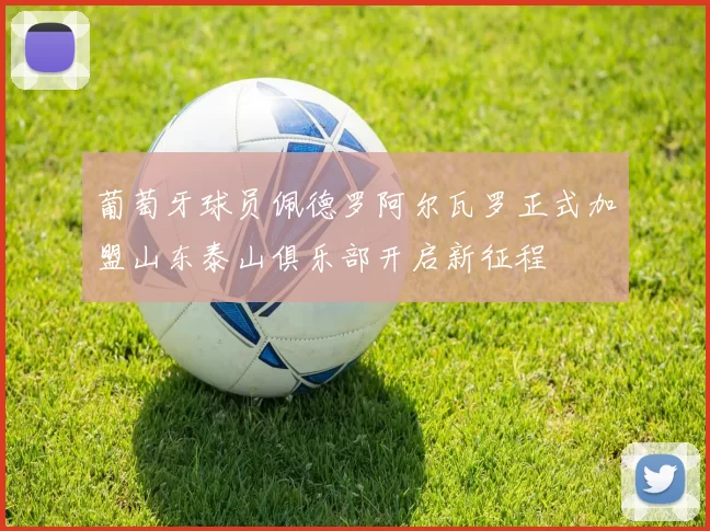 葡萄牙球员佩德罗阿尔瓦罗正式加盟山东泰山俱乐部开启新征程